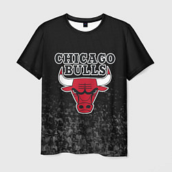 Футболка мужская CHICAGO BULLS, цвет: 3D-принт