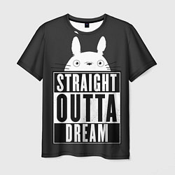 Футболка мужская Тоторо Straight outta dream, цвет: 3D-принт