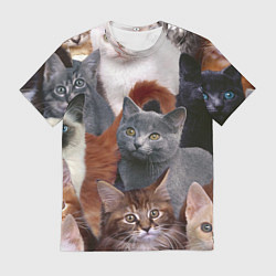 Футболка мужская КОТЯТКИ, цвет: 3D-принт