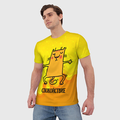 Мужская футболка Спокойствие Спокойный кот / 3D-принт – фото 3