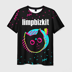 Футболка мужская Limp Bizkit - rock star cat, цвет: 3D-принт