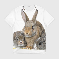 Футболка мужская Кролики - семейство, цвет: 3D-принт
