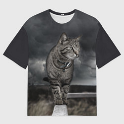 Футболка оверсайз мужская Кот, цвет: 3D-принт