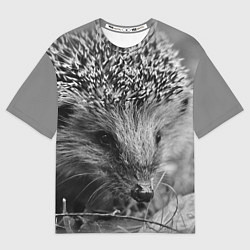 Футболка оверсайз мужская Взгляд ёжика, цвет: 3D-принт