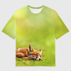 Футболка оверсайз мужская Лисичка спит, цвет: 3D-принт