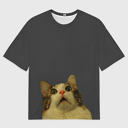 Футболка оверсайз мужская Коте смотрит вверх, цвет: 3D-принт