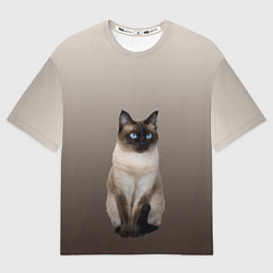 Футболка оверсайз мужская Сиамский кот голубые глаза, цвет: 3D-принт