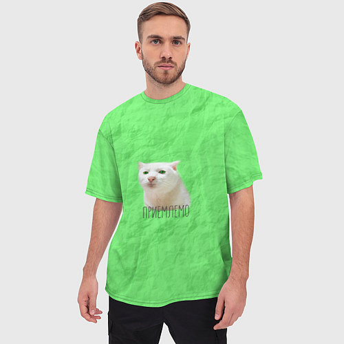 Мужская футболка оверсайз Приемлемо кот мем / 3D-принт – фото 3