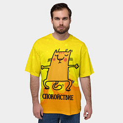 Футболка оверсайз мужская Спокойствие Спокойный кот, цвет: 3D-принт — фото 2