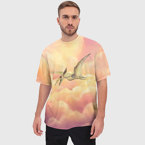 Мужская футболка оверсайз Птеродактиль в облаках / 3D-принт – фото 3