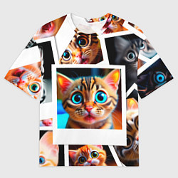 Футболка оверсайз мужская Котики фото, цвет: 3D-принт