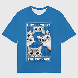 Футболка оверсайз мужская Home is where the cats are, цвет: 3D-принт