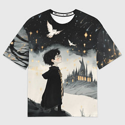 Футболка оверсайз мужская Гарри Поттер и совы, цвет: 3D-принт