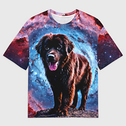 Футболка оверсайз мужская Ньюфаундленд в космосе, цвет: 3D-принт