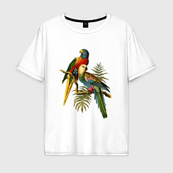 Футболка оверсайз мужская Тропические попугаи, цвет: белый