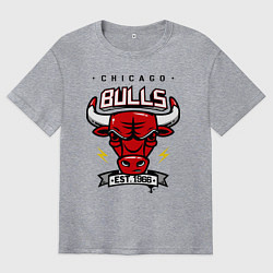 Футболка оверсайз мужская Chicago Bulls est. 1966, цвет: меланж