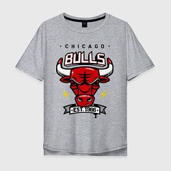 Футболка оверсайз мужская Chicago Bulls est. 1966, цвет: меланж