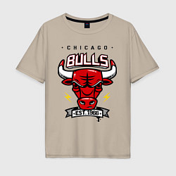 Мужская футболка оверсайз Chicago Bulls est. 1966