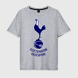 Футболка оверсайз мужская Tottenham FC, цвет: меланж