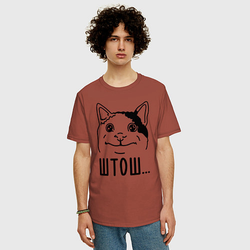 Мужская футболка оверсайз Штош Вежливый котик мем / Кирпичный – фото 3