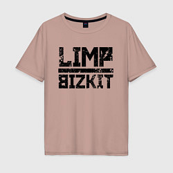 Мужская футболка оверсайз LIMP BIZKIT