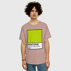 Футболка оверсайз мужская Shrek: Pantone Color, цвет: пыльно-розовый — фото 2