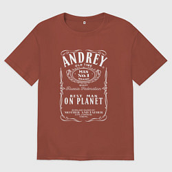 Футболка оверсайз мужская АНДРЕЙ в стиле ДЖЕК ДЭНИЭЛС, цвет: кирпичный