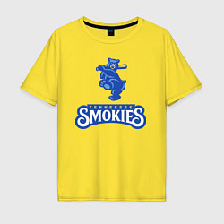 Футболка оверсайз мужская Tennessee smokies - baseball team, цвет: желтый
