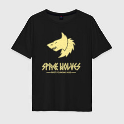 Футболка оверсайз мужская Космические волки лого винтаж, цвет: черный