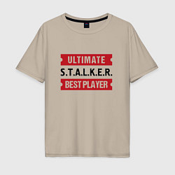 Мужская футболка оверсайз S T A L K E R : таблички Ultimate и Best Player