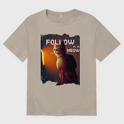 Футболка оверсайз мужская STRAY FOLLOW MEOW, цвет: миндальный