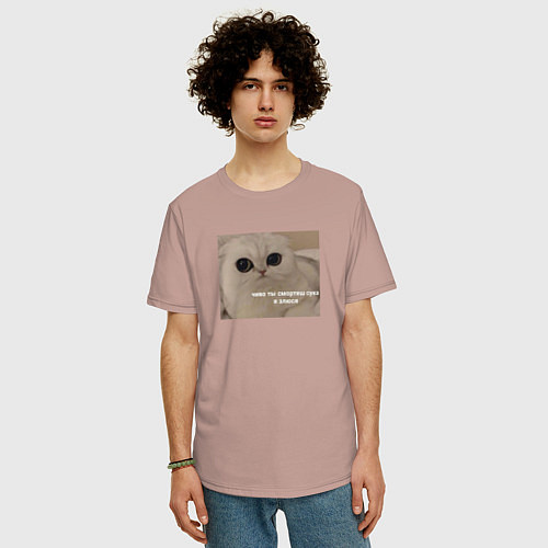 Мужская футболка оверсайз Злой котик шотландец / Пыльно-розовый – фото 3