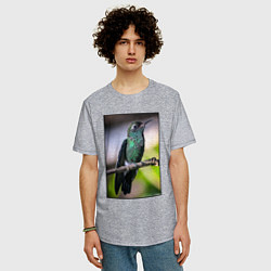 Футболка оверсайз мужская Колибри на ветке, цвет: меланж — фото 2