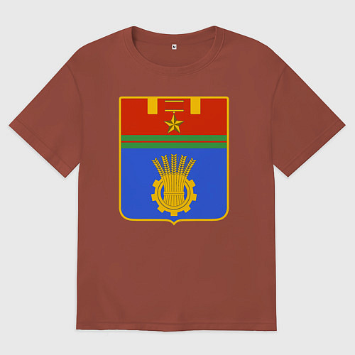 Мужская футболка оверсайз Герб Волгограда / Кирпичный – фото 1
