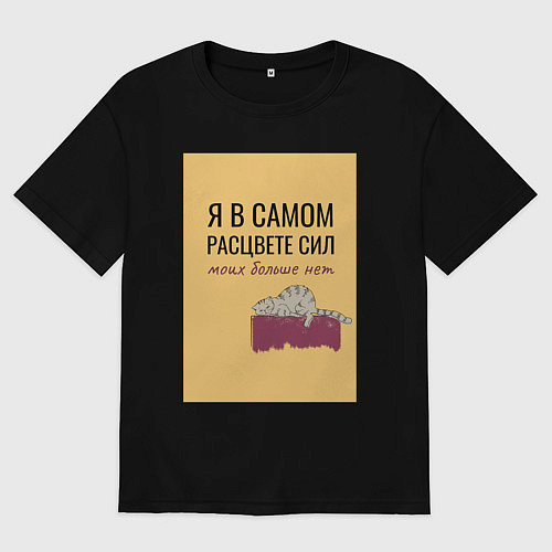 Мужская футболка оверсайз Уставший кот в полном расцвете сил / Черный – фото 1