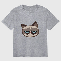 Футболка оверсайз мужская Мем недовольный кот, цвет: меланж