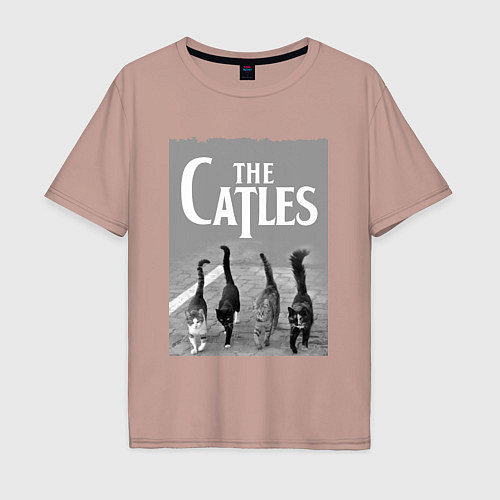Мужская футболка оверсайз The Catles - joke / Пыльно-розовый – фото 1