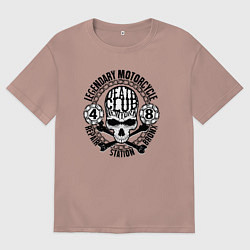 Футболка оверсайз мужская Череп с костями и цепи, цвет: пыльно-розовый