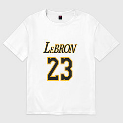 Футболка оверсайз мужская Lebron 23, цвет: белый