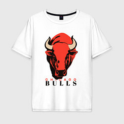 Мужская футболка оверсайз Chicago bull