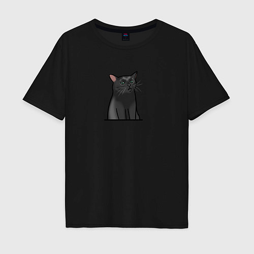 Мужская футболка оверсайз Разочарованный кот / Черный – фото 1