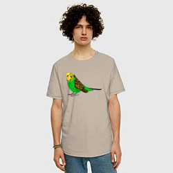 Футболка оверсайз мужская Красивый попугайчик, цвет: миндальный — фото 2