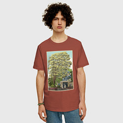 Футболка оверсайз мужская Хаяо Миядзаки - studio ghibli, цвет: кирпичный — фото 2