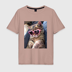 Футболка оверсайз мужская Милый мем-кот в очках в стиле аниме, цвет: пыльно-розовый