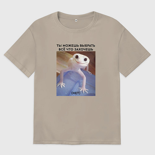 Мужская футболка оверсайз Можешь выбрать себе всё что захочешь - нет / Миндальный – фото 1