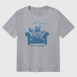 Футболка оверсайз мужская Енот на диване имеет планы, цвет: меланж