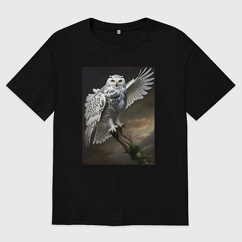 Мужская футболка оверсайз Белая сова на ветке / Черный – фото 1