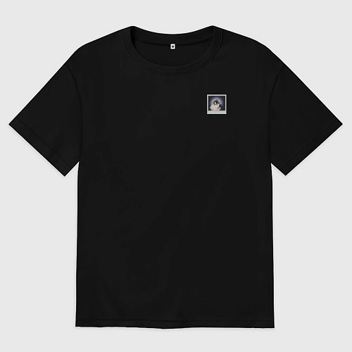 Мужская футболка оверсайз Панк кот / Черный – фото 1