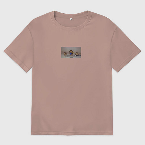 Мужская футболка оверсайз Пошлая моле мем / Пыльно-розовый – фото 1