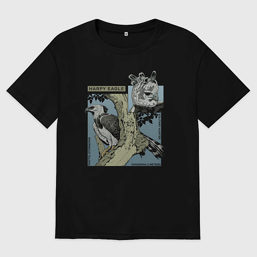 Мужская футболка оверсайз Harpy eagle / Черный – фото 1
